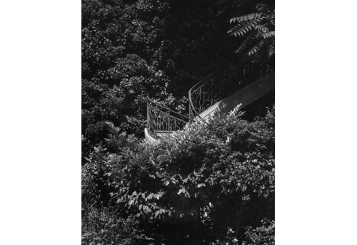 Escalier Scpo Photograph Bertrand Clech Zeuxis