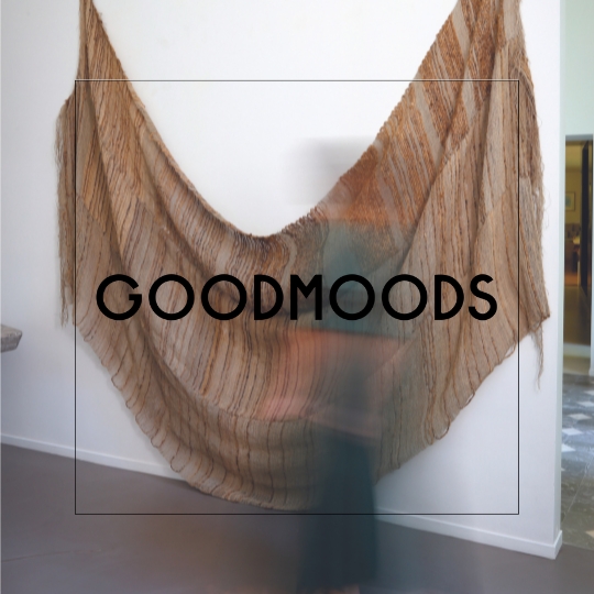 goodmoods x amelie 